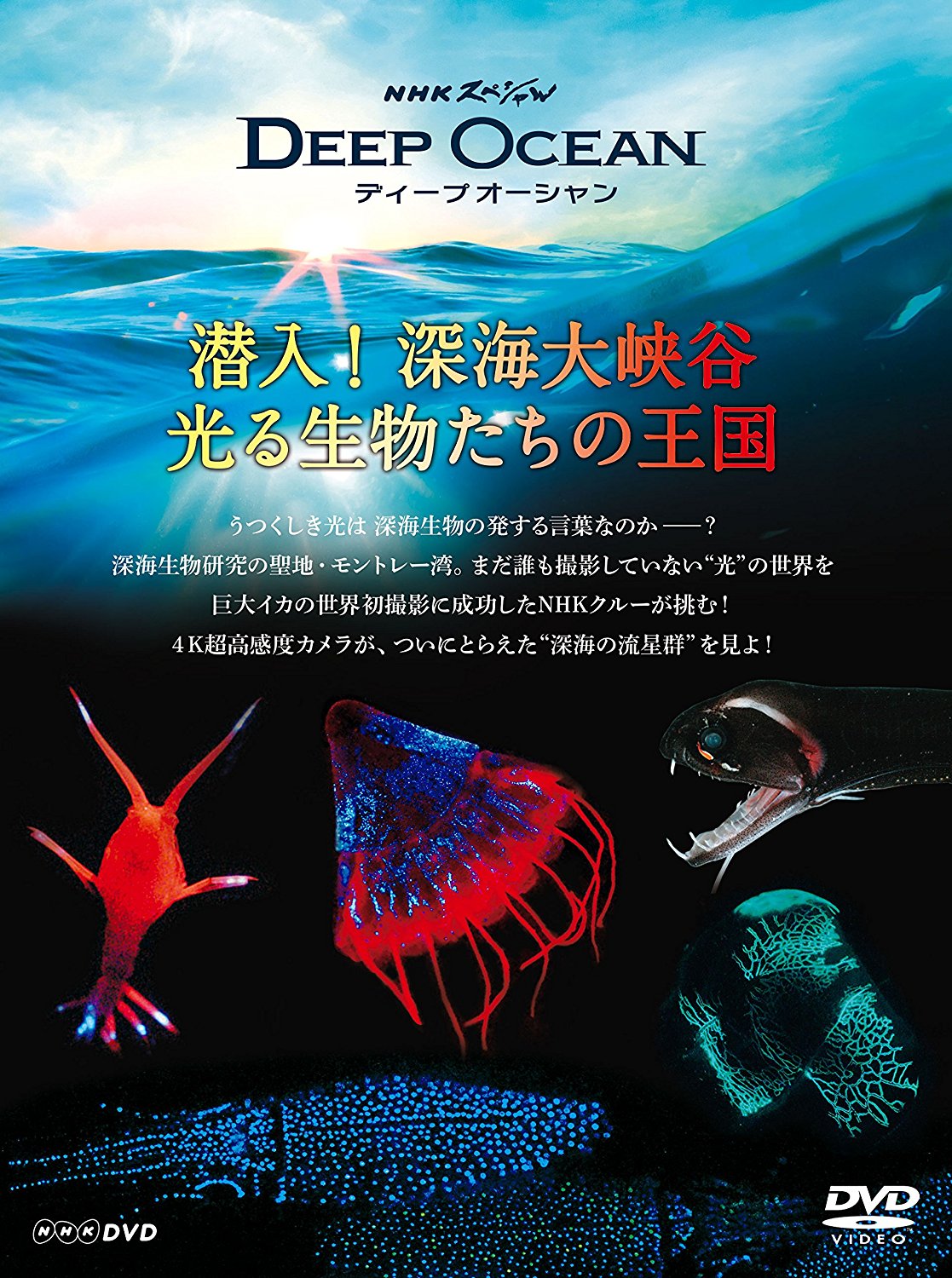 Disc. 『NHKスペシャル ディープ オーシャン 潜入! 深海大峡谷 光る生物たちの王国』 – 久石譲ファンサイト 響きはじめの部屋